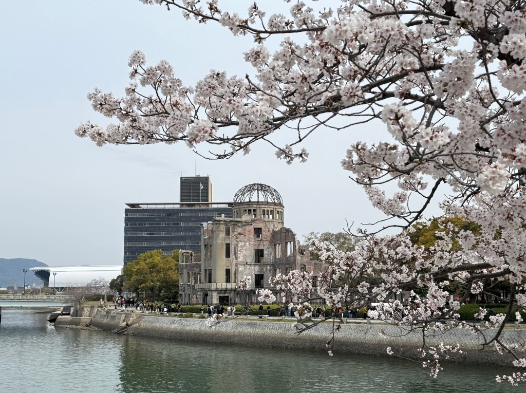 The Hiroshima Peace Memorial surrounded by blooming cherry blossom trees, with a calm river in the foreground.